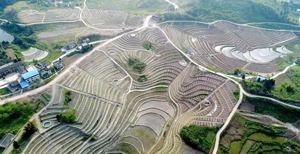 【转载】精准扶贫 | 看我局106队如何助力大梁子村产业脱贫